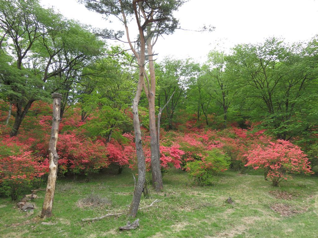 Nikko Pension L'Escale Bagian luar foto