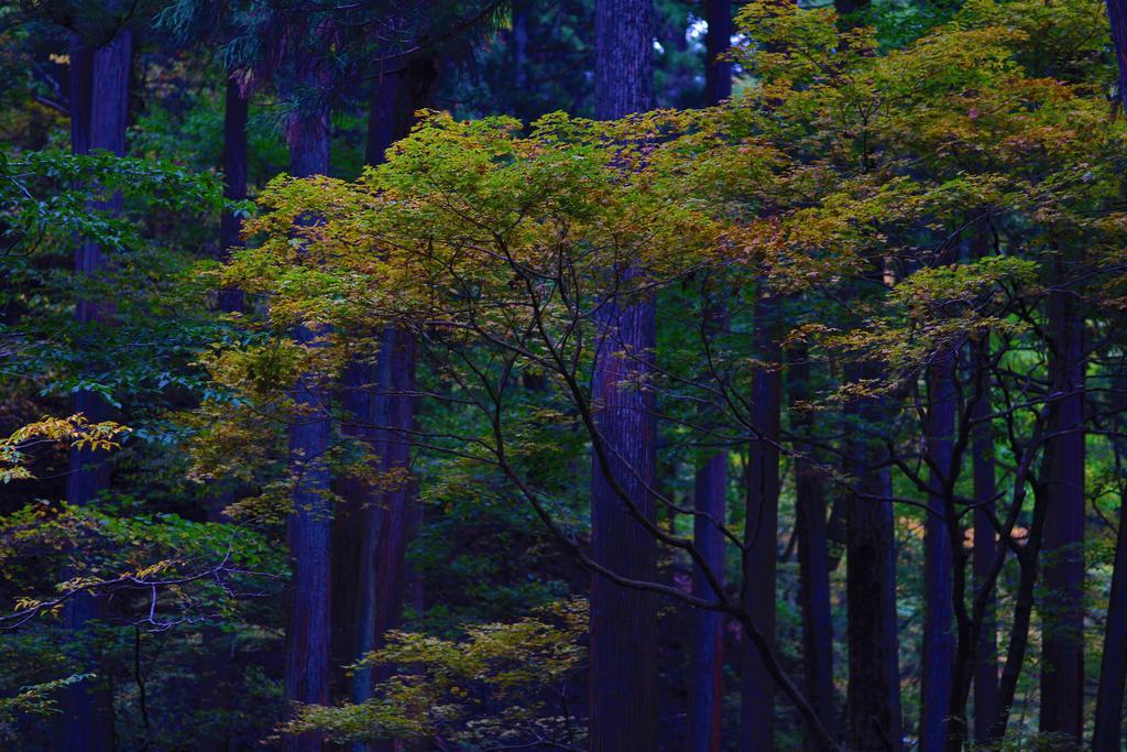 Nikko Pension L'Escale Bagian luar foto