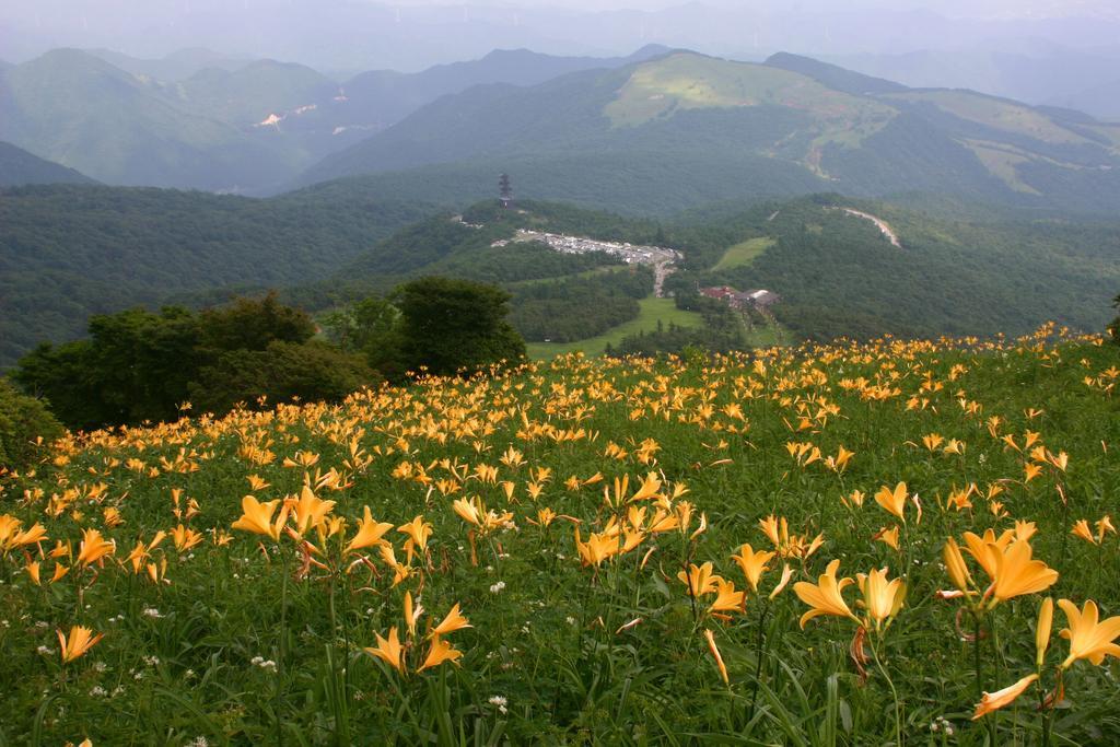 Nikko Pension L'Escale Bagian luar foto